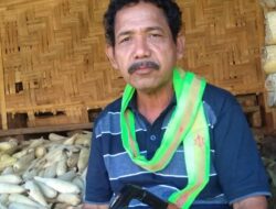 Perhimpunan Tani Sumba Akan Membawa Kesejahteraan Hidup Para Petani