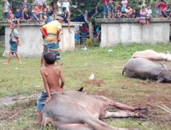 Di Bawah Langit yang Menyimpan Luka